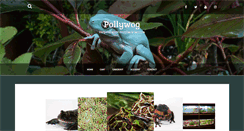 Desktop Screenshot of pollywog.co.uk