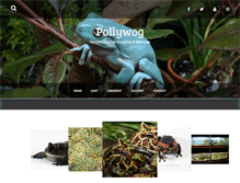 Tablet Screenshot of pollywog.co.uk